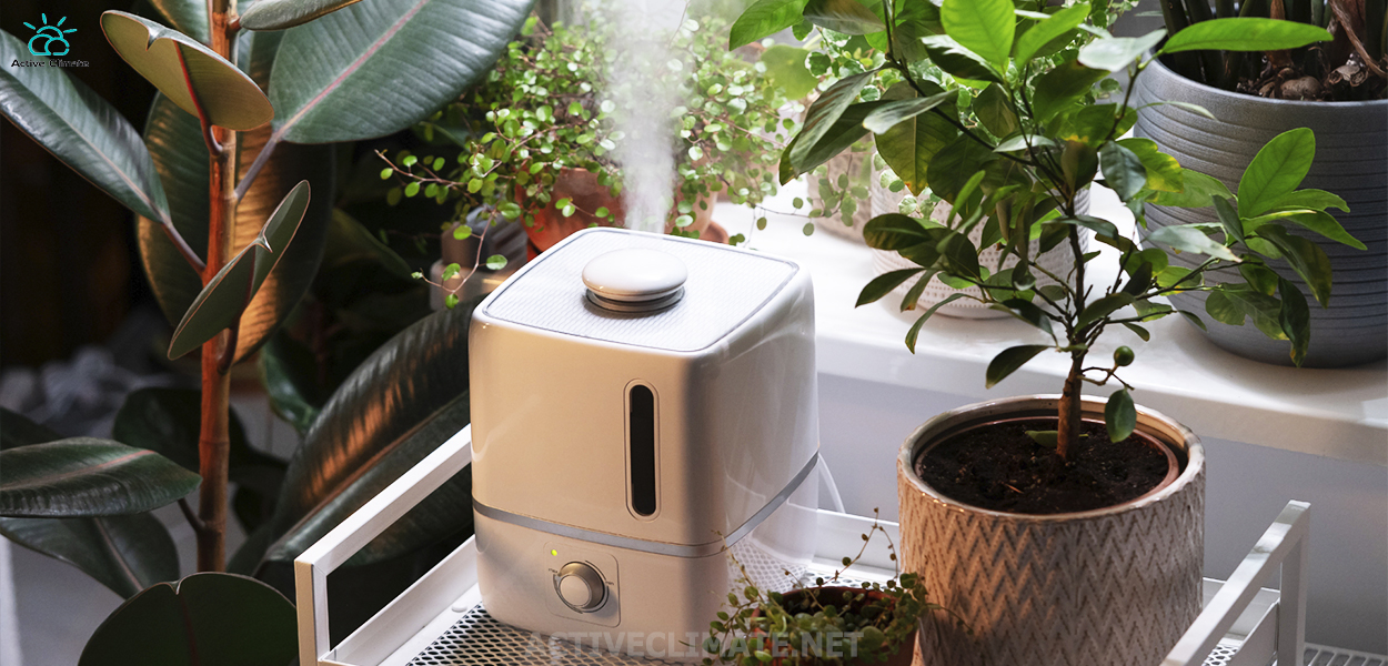 Как правильно выбрать увлажнитель воздуха, ТОП 5 увлажнителей воздуха